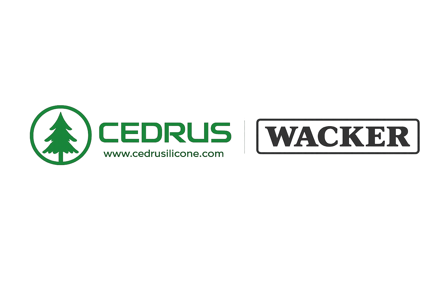 cedrussilicone.com